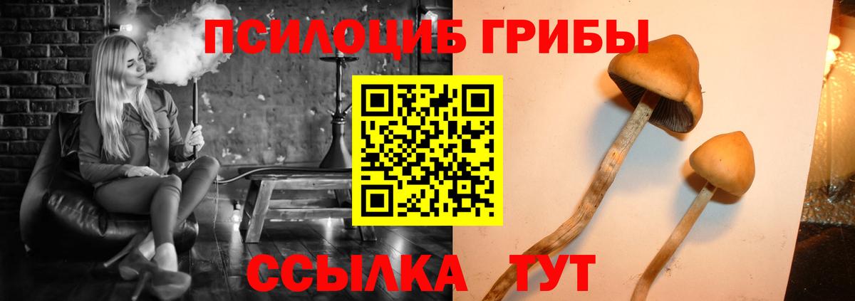 Галлюциногенные грибы мухоморы Белая Калитва